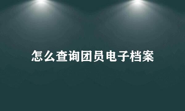 怎么查询团员电子档案