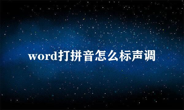 word打拼音怎么标声调
