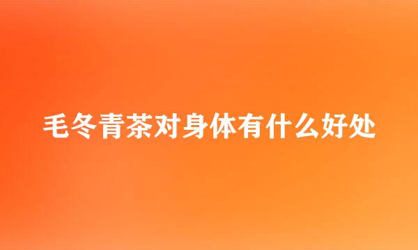 毛冬青茶对身体有什么好处
