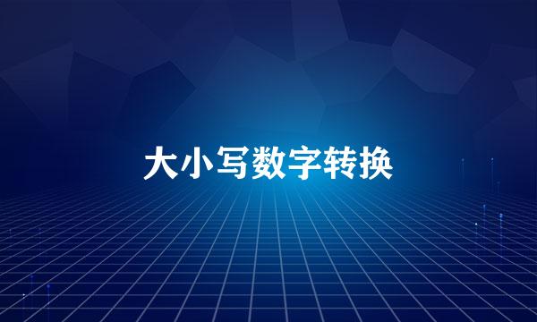 大小写数字转换