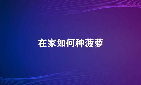 在家如何种菠萝