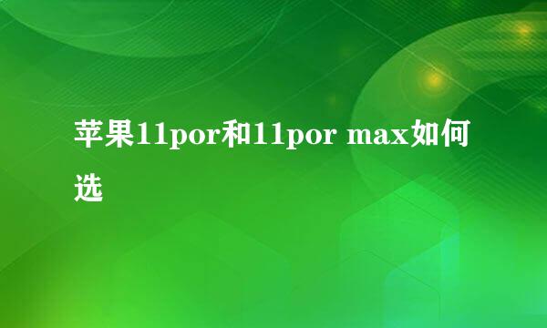 苹果11por和11por max如何选