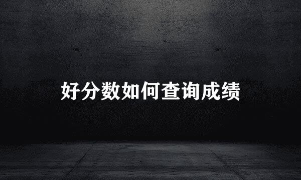 好分数如何查询成绩