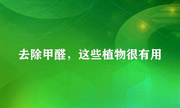 去除甲醛，这些植物很有用