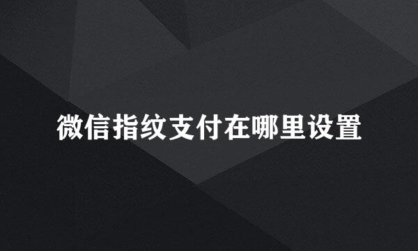 微信指纹支付在哪里设置
