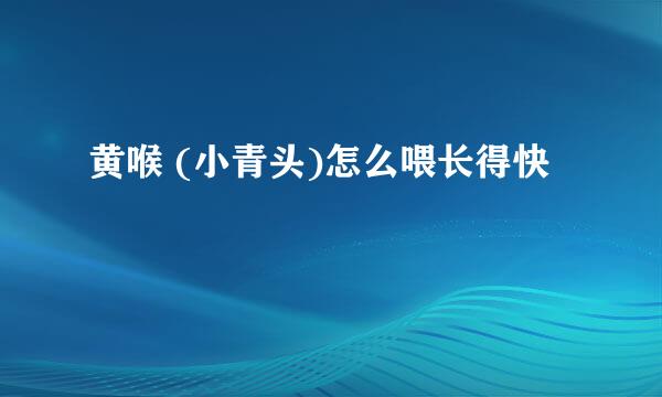 黄喉 (小青头)怎么喂长得快