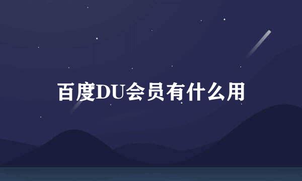 百度DU会员有什么用