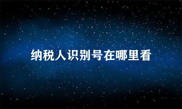 纳税人识别号在哪里看