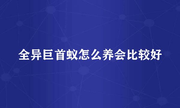 全异巨首蚁怎么养会比较好
