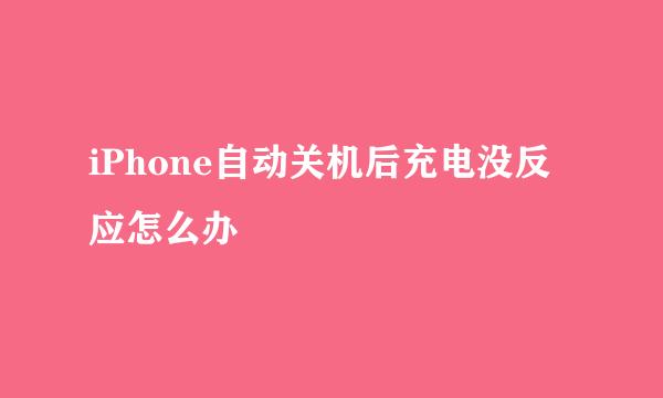 iPhone自动关机后充电没反应怎么办