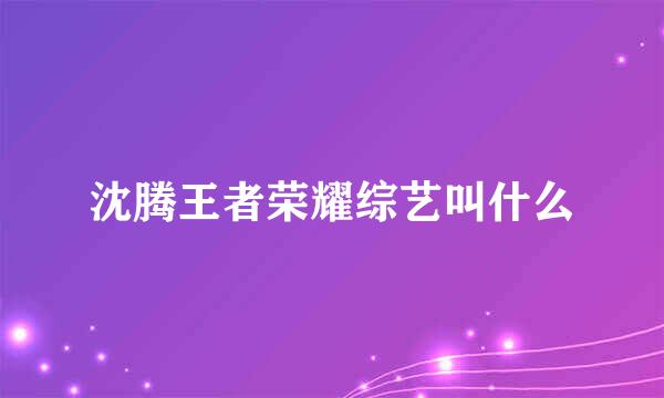 沈腾王者荣耀综艺叫什么