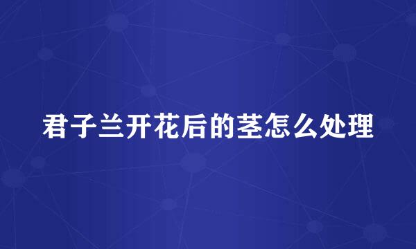 君子兰开花后的茎怎么处理