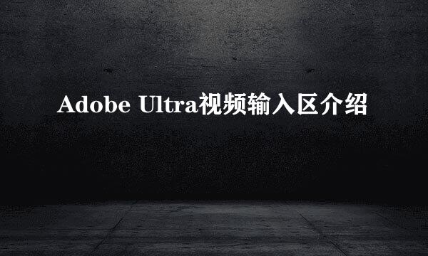 Adobe Ultra视频输入区介绍