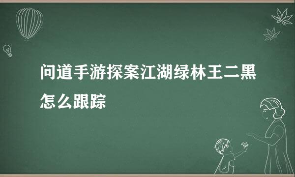 问道手游探案江湖绿林王二黑怎么跟踪