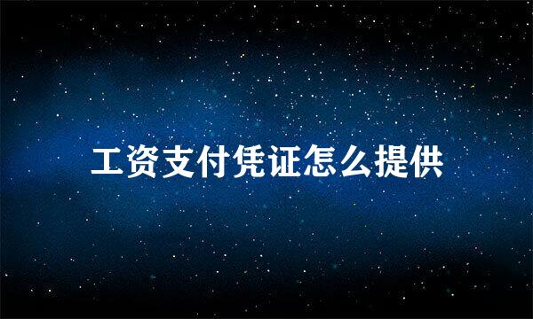 工资支付凭证怎么提供