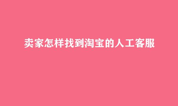 卖家怎样找到淘宝的人工客服