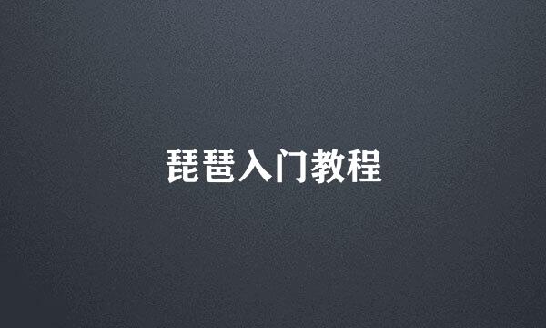 琵琶入门教程