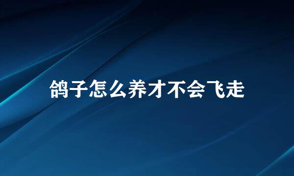 鸽子怎么养才不会飞走
