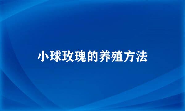 小球玫瑰的养殖方法