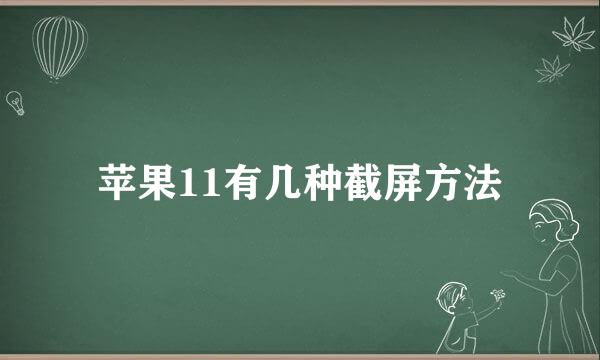 苹果11有几种截屏方法