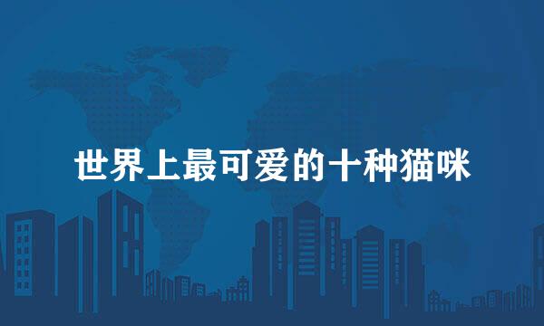 世界上最可爱的十种猫咪