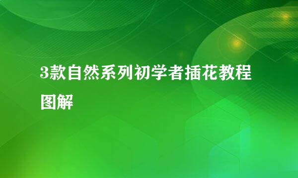 3款自然系列初学者插花教程图解