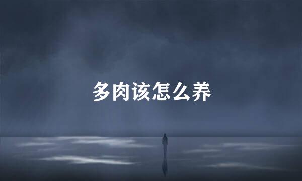 多肉该怎么养