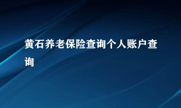 黄石养老保险查询个人账户查询