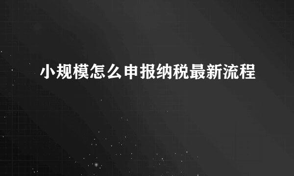 小规模怎么申报纳税最新流程