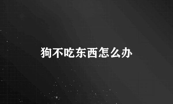 狗不吃东西怎么办