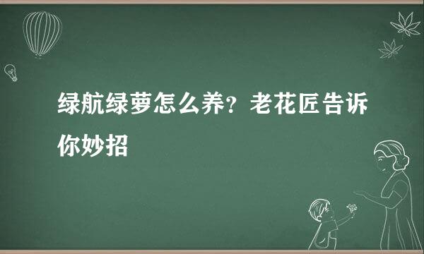 绿航绿萝怎么养？老花匠告诉你妙招