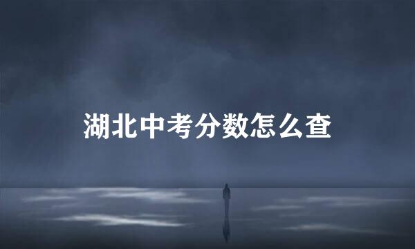湖北中考分数怎么查