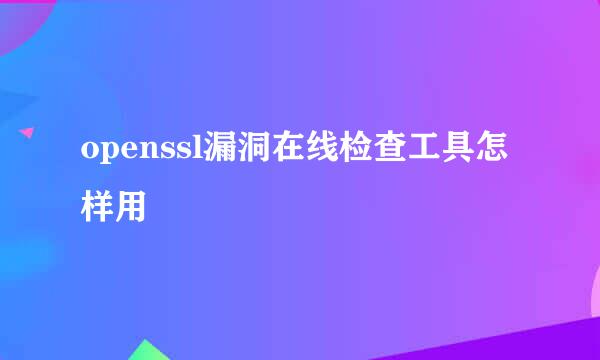 openssl漏洞在线检查工具怎样用