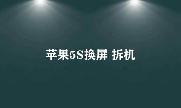 苹果5S换屏 拆机