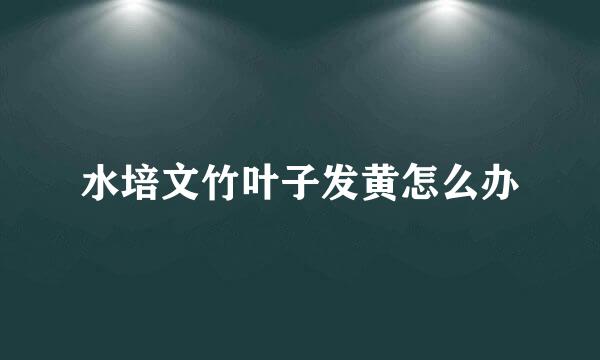 水培文竹叶子发黄怎么办