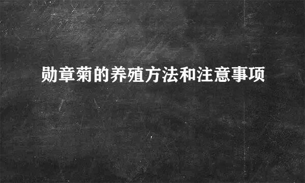 勋章菊的养殖方法和注意事项