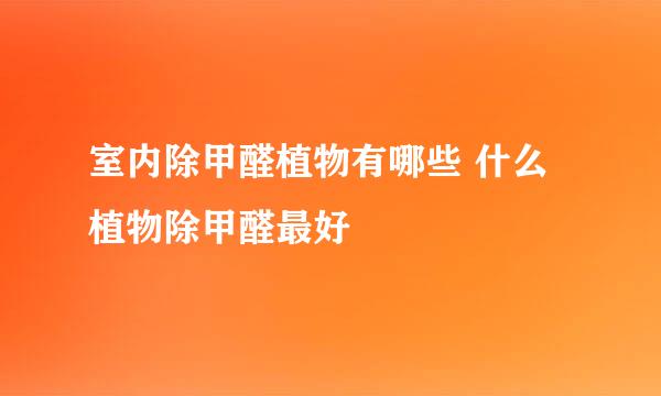 室内除甲醛植物有哪些 什么植物除甲醛最好