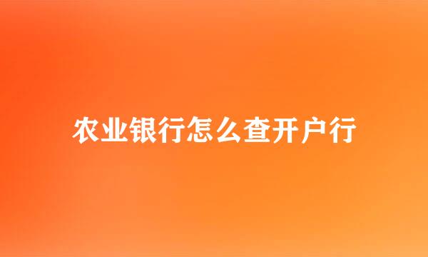 农业银行怎么查开户行
