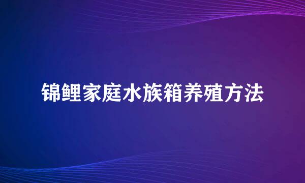 锦鲤家庭水族箱养殖方法