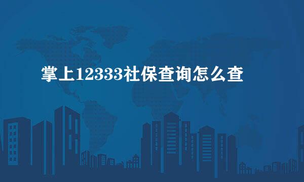 掌上12333社保查询怎么查