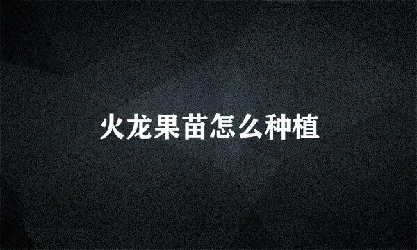火龙果苗怎么种植
