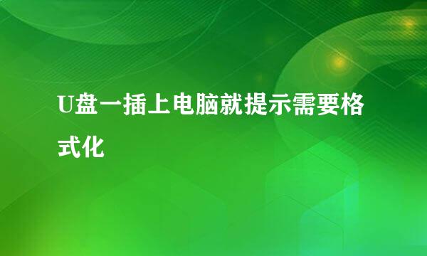 U盘一插上电脑就提示需要格式化