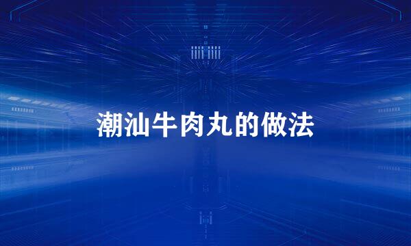 潮汕牛肉丸的做法