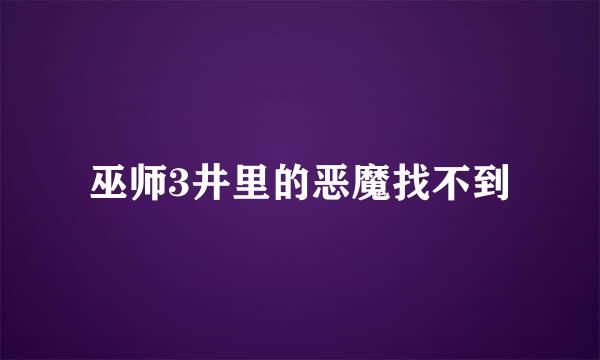 巫师3井里的恶魔找不到
