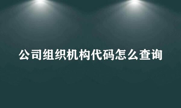 公司组织机构代码怎么查询