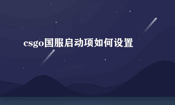csgo国服启动项如何设置