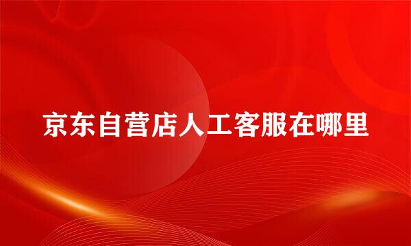 京东自营店人工客服在哪里