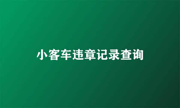 小客车违章记录查询