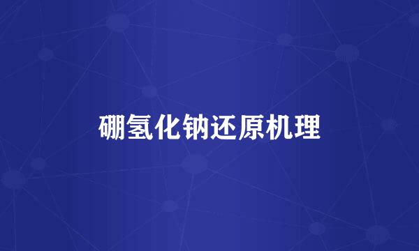 硼氢化钠还原机理