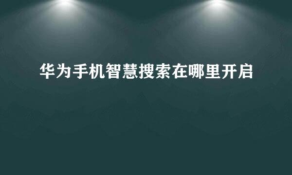 华为手机智慧搜索在哪里开启